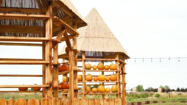 Rustic wooden stalls display rows of bright orange pumpkins and gourds under thatched roofs.
