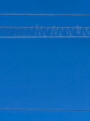 Electric wires on a blue sky