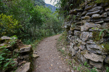 A winding trail through lush greenery leads the way to the mighty Gocta Waterfalls. Each step along this serene path invites travelers deeper into the heart of the Amazonas region.