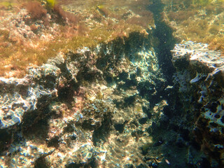 Dark blue ocean surface seen from underwater. Abstract waves underwater and rays of sunlight shining through, Sun light rays undersea deep, Underwater background with sea bottom, Mediterranean sea.