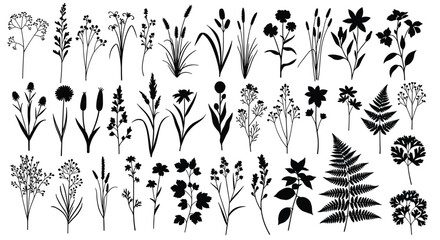 Collection of diverse botanical elements for artistic and design applications.