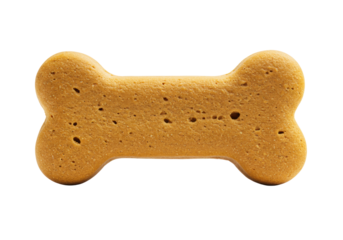 A single golden-brown bone-shaped dog biscuit, crunchy texture, isolated on a bright white background with soft shadows and copy space, concept for premium pet food advertising