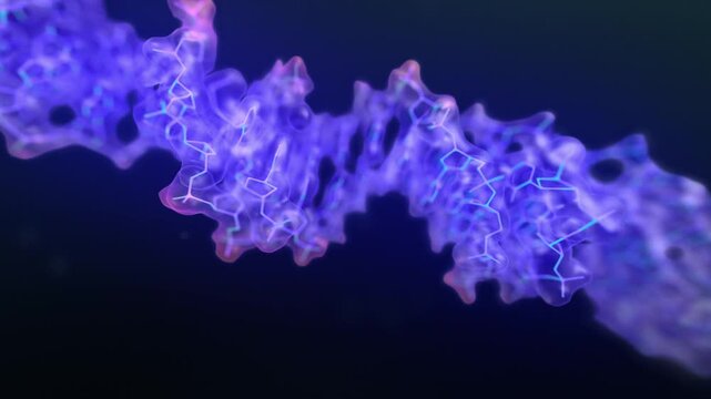 Transparent DNA reveal &ndash; medical animation of molecular structure