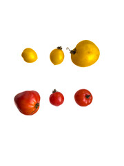 Variety of ripe yellow and red tomatoes