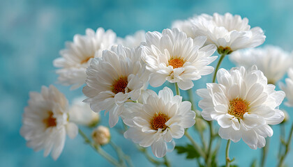 bunch of fresh white daisy flowers