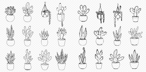 Collection of hand-drawn cacti and succulent plants in pots, some hanging, arranged in a grid.