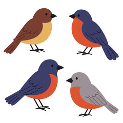 Fototapeta premium Minimalist cartoon birds flat style illustration isolated