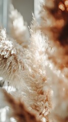 feathery. Bohemian-style pampas grass arrangement in neutral tones with warm sunlight. gardening catalogs, home-decor guides, designed for home decor and floral branding, used by food bloggers.