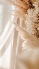 feathery. Bohemian-style pampas grass arrangement in neutral tones with warm sunlight. gardening catalogs, home-decor guides, designed for home decor and floral branding, used by food bloggers.