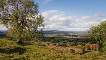Countryside at Lower Coscombe, Cotswolds, Gloucestershire, England