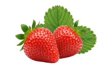 Close-up of two pristine, ripe scarlet strawberries with prominent yellow achenes and green calyx, a leaf behind on a transparent background. Concept for healthy food advertising