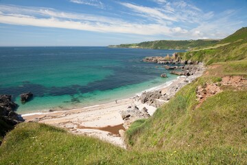Devon coastline in summer