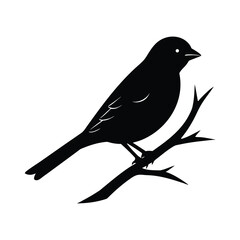 Branch with bird silhouette vector illustration