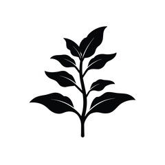 Green tobacco seedling silhouette vector illustration