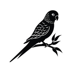 Parakeet on branch silhouette vector illustration