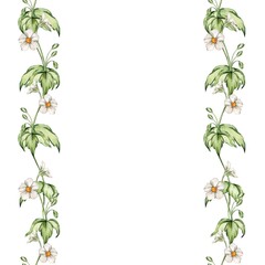 Watercolor bright illustration of autumn blooming frame