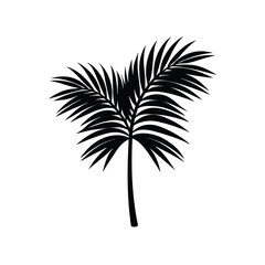 Date palm branch part silhouette vector illustration