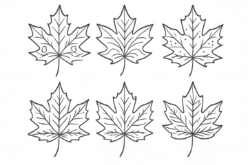Maple leaf set creating seamless pattern line art drawing design for autumn season on transparent background