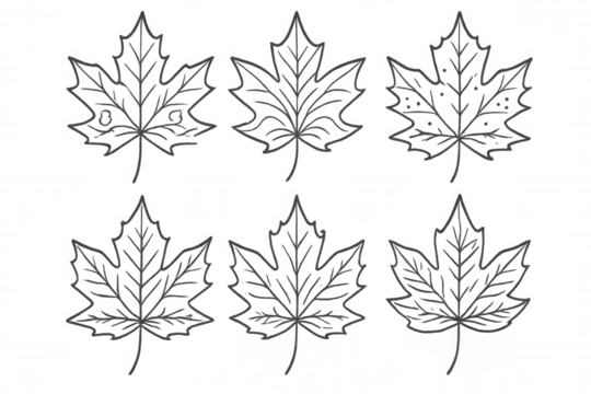 Maple leaf set creating seamless pattern line art drawing design for autumn season on transparent background - Powered by Adobe