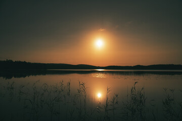 Sunrise at the lake with reeds and forest reflections in golden morning light