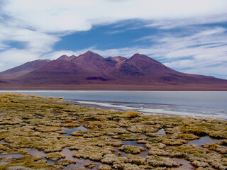Bolivia,Laguna CanapaThis beautiful high altitude lagoon, located at an altitude of about 4000m, is known for its crystal clear blue waters surrounded by rugged mountain peaks and volcanic formations.