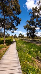 Wooden walkway through a parkland