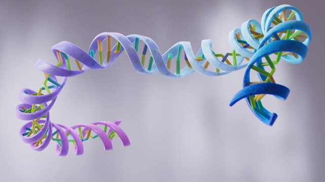 Simplified colourful DNA &ndash; medical animation of genetic structure