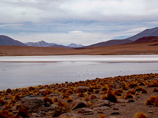 Bolivia,Laguna CanapaThis beautiful high altitude lagoon, located at an altitude of about 4000m, is known for its crystal clear blue waters surrounded by rugged mountain peaks and volcanic formations.