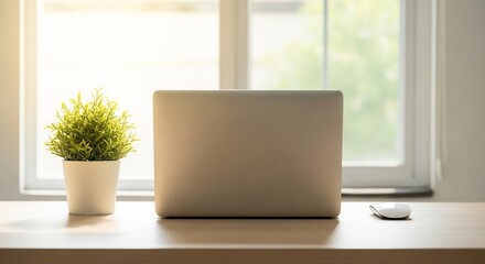 Laptop and mouse on a desk by a window