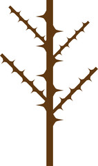 가시 나무 가지