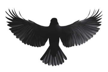 Illustration of an eagle silhouette with outstretched wings on transparent background