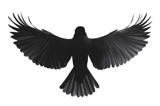 Illustration of an eagle silhouette with outstretched wings on transparent background