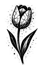 Striking Black and White Tulip Art Print with Intricate Organic Petal Details and Bold Ink Splatter Effect, a Modern Grunge Floral Design for Contemporary Decor and Artistic Expression, Unique Botanic