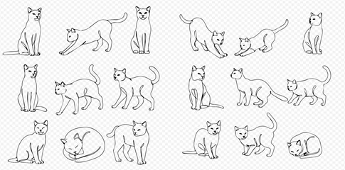 Collection of line art illustrations depicting cats in various poses, including sitting, stretching, walking, and sleeping.