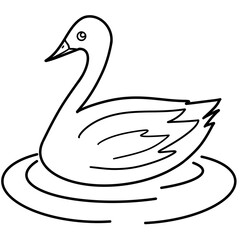 Swan Coloring Illustration