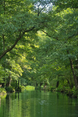 Idyllic river in the Spreewald with reflections in the clear water