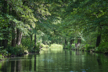 Idyllic river in the Spreewald with reflections in the clear water