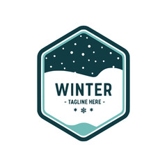 Modern Winter Vector Logo Design
