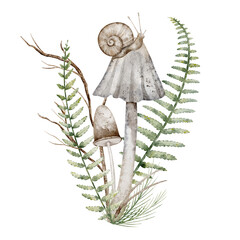 Watercolor illustration with mushrooms, fern and snail. Drawing of fungus with forest plants for autumn greeting card or botanical invitations. Art for woodland posters on isolated background