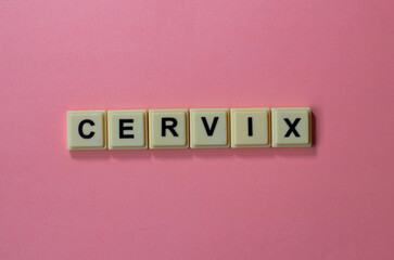 CERVIX word with alphabet cubes isolated on Pink background

