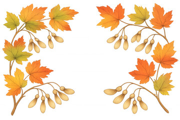 Maple leaves and samara forming an autumn frame, watercolor drawing on transparent background