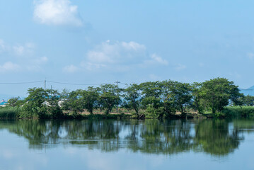 夏の朝　小さな湖が青空を美しく反射して　滋賀県草津市平湖の風景