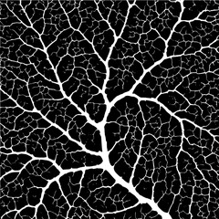 White veins on black background creating a complex branching pattern resembling a leaf or organic network