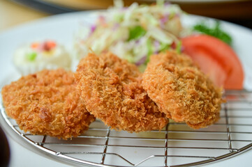 Close-up of tonkatsu with salad vegetables. Breaded deep-fried pork and raw vegetables. Japanese cuisine. Food and beverage concept. Food background.