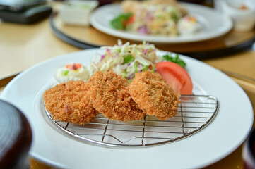 Close-up of tonkatsu with salad vegetables. Breaded deep-fried pork and raw vegetables. Japanese cuisine. Food and beverage concept. Food background.
