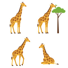 Obraz premium Giraffe Vector Illustration Set