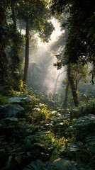 Obraz premium Lush green jungle with sunlight filtering through trees, creating a serene atmosphere filled with vibrant foliage and captivating beauty of nature's untouched wilderness.