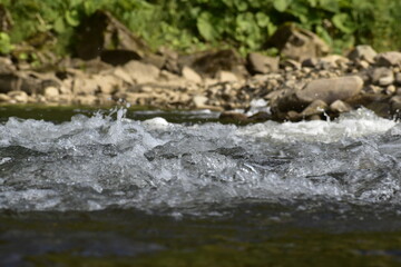 river in the mountain