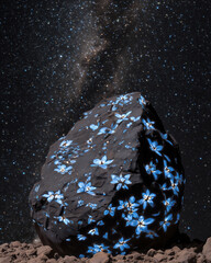 Unique Rock with Blue Flowers Under Starry Night Sky