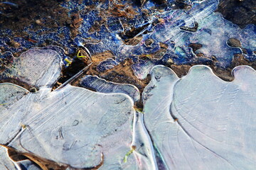 青く輝く凍った水たまり